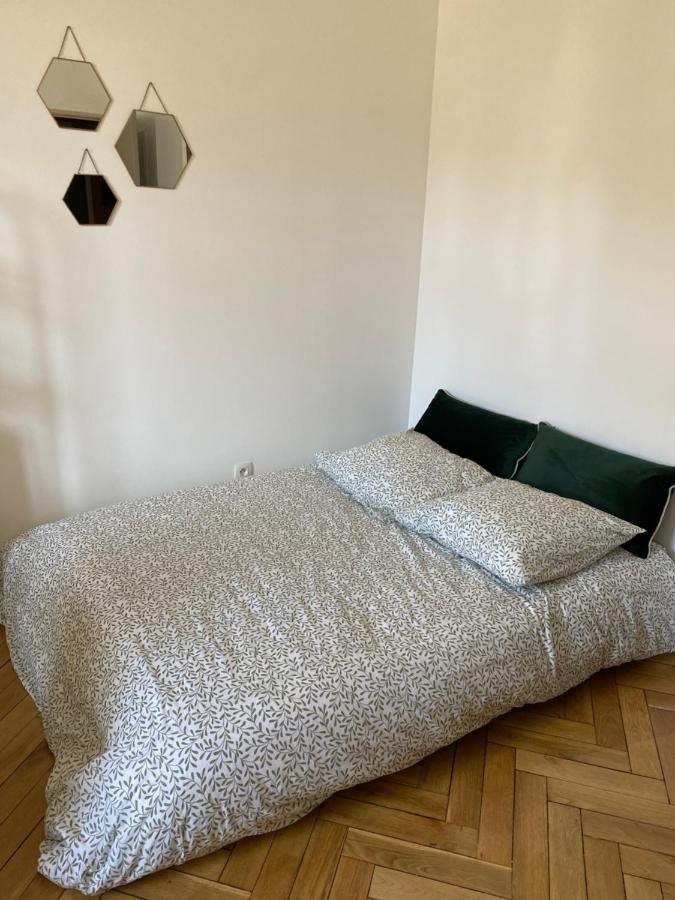 Aux Arcades Mulhouse Hyper Centre Apartment Bagian luar foto